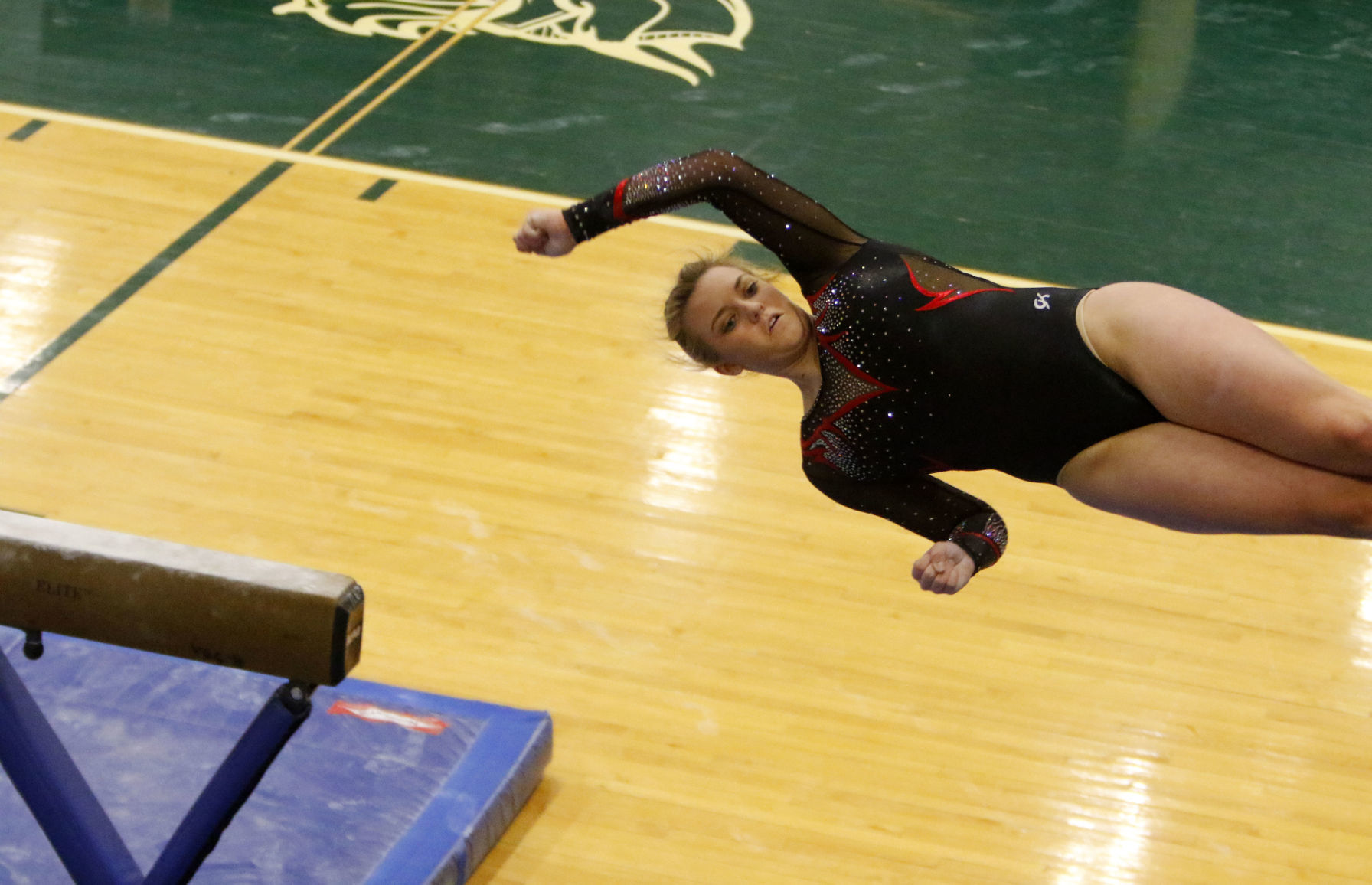 Gymnastics Regional